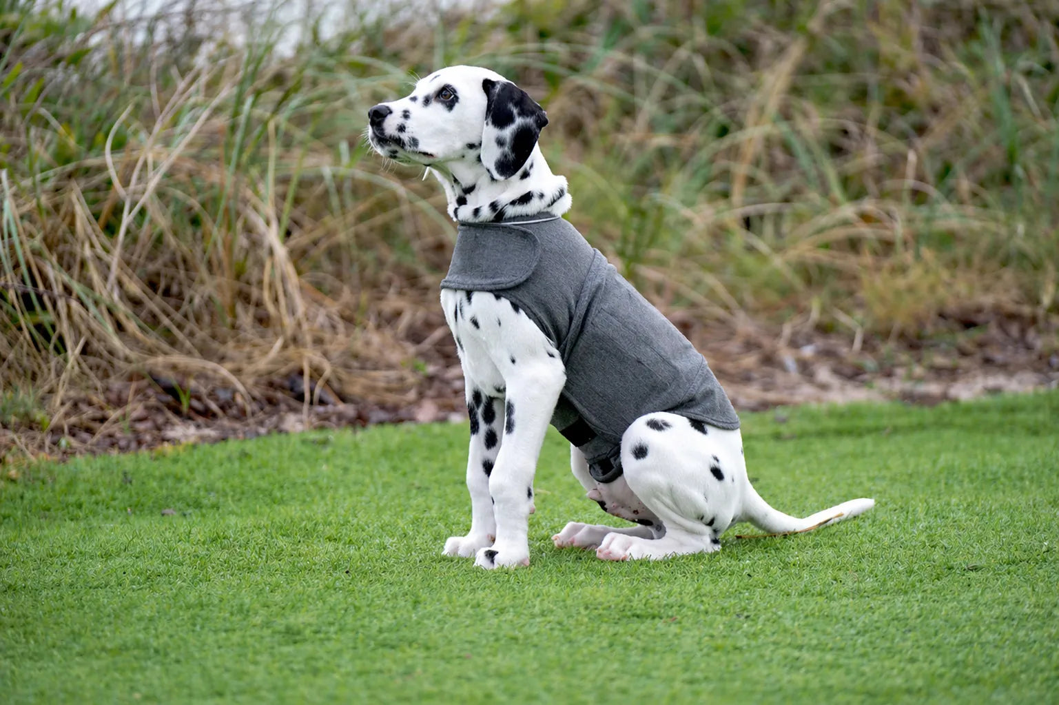 PaxiWrap™ Dog Anxiety Relief Vest