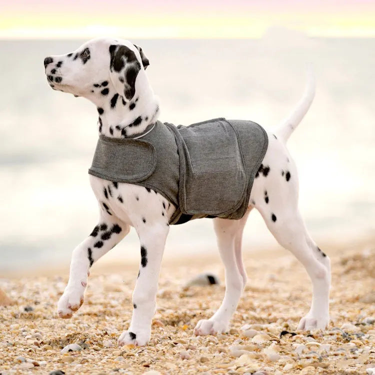 PaxiWrap™ Dog Anxiety Relief Vest