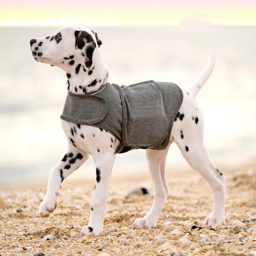 PaxiWrap™ Dog Anxiety Relief Vest